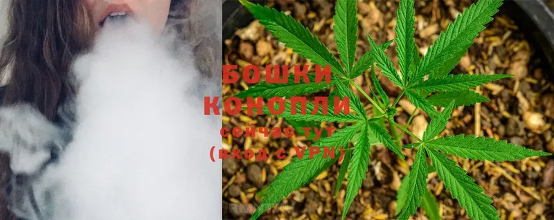 Конопля SATIVA & INDICA  Химки 